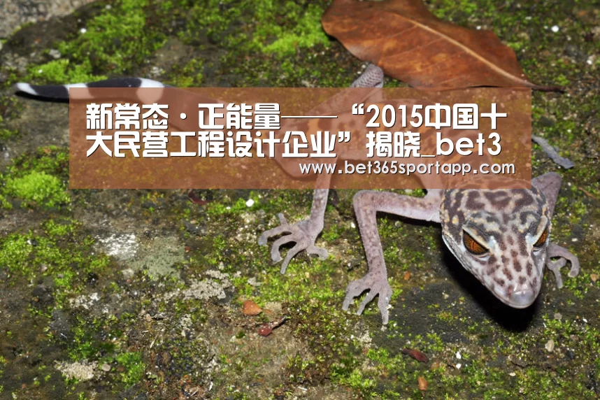 bet365体育官网