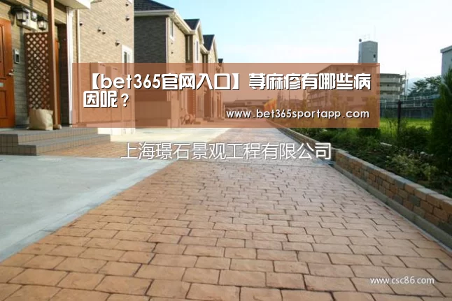 bet365体育官网